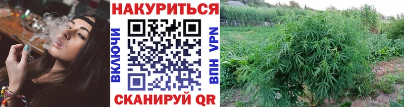 Купить где  Правдинск  МАРИХУАНА SATIVA & INDICA 